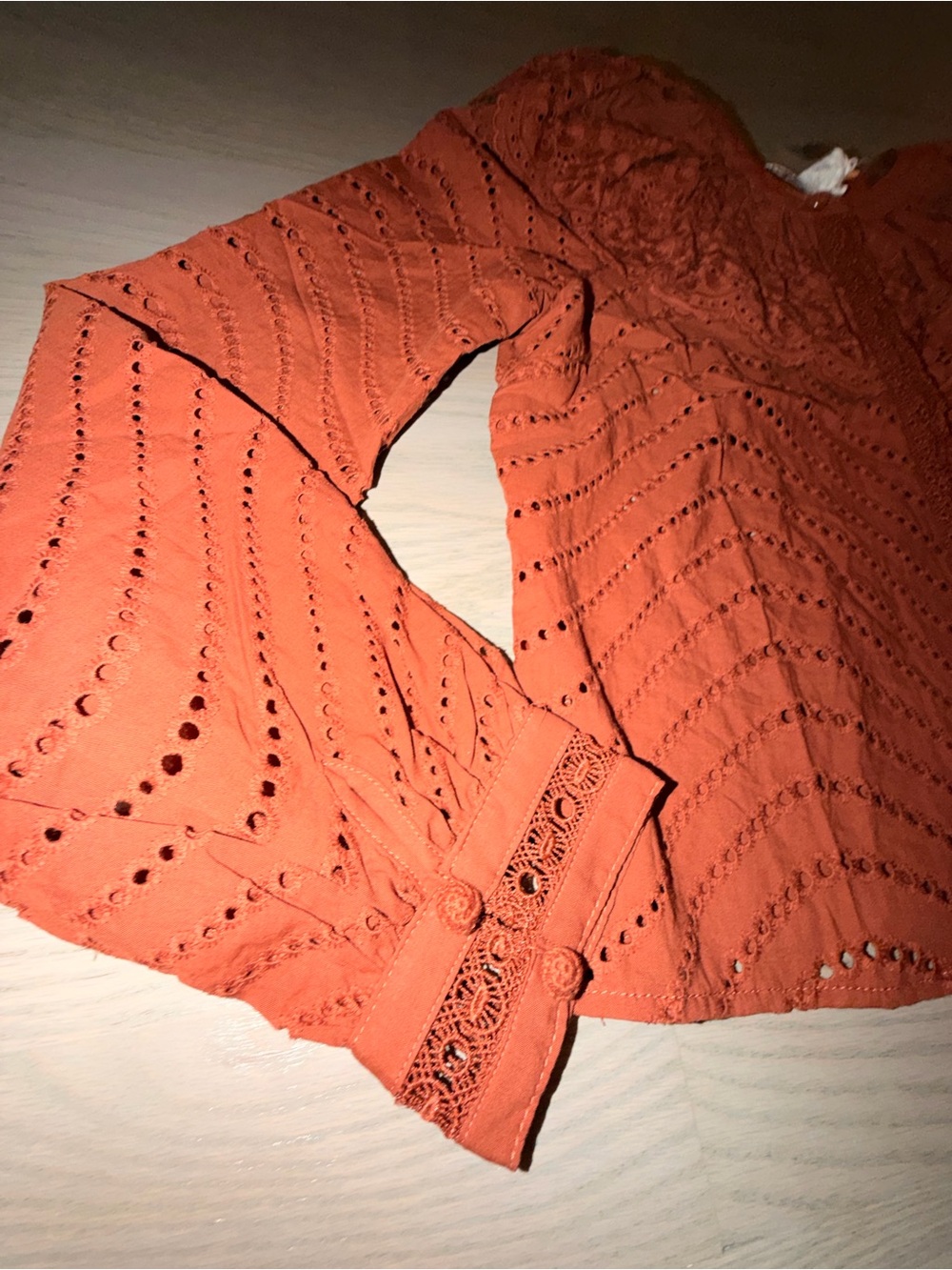 Caroline Constas Rust Eyelet Ruffle Blouse - Picture 2 of 9